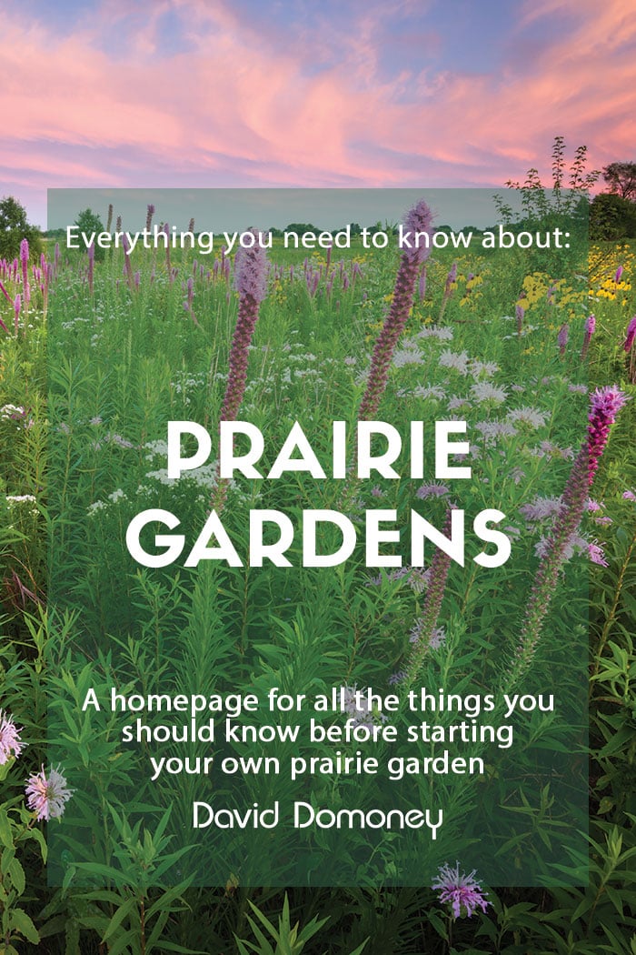 Create your own Prairie Garden