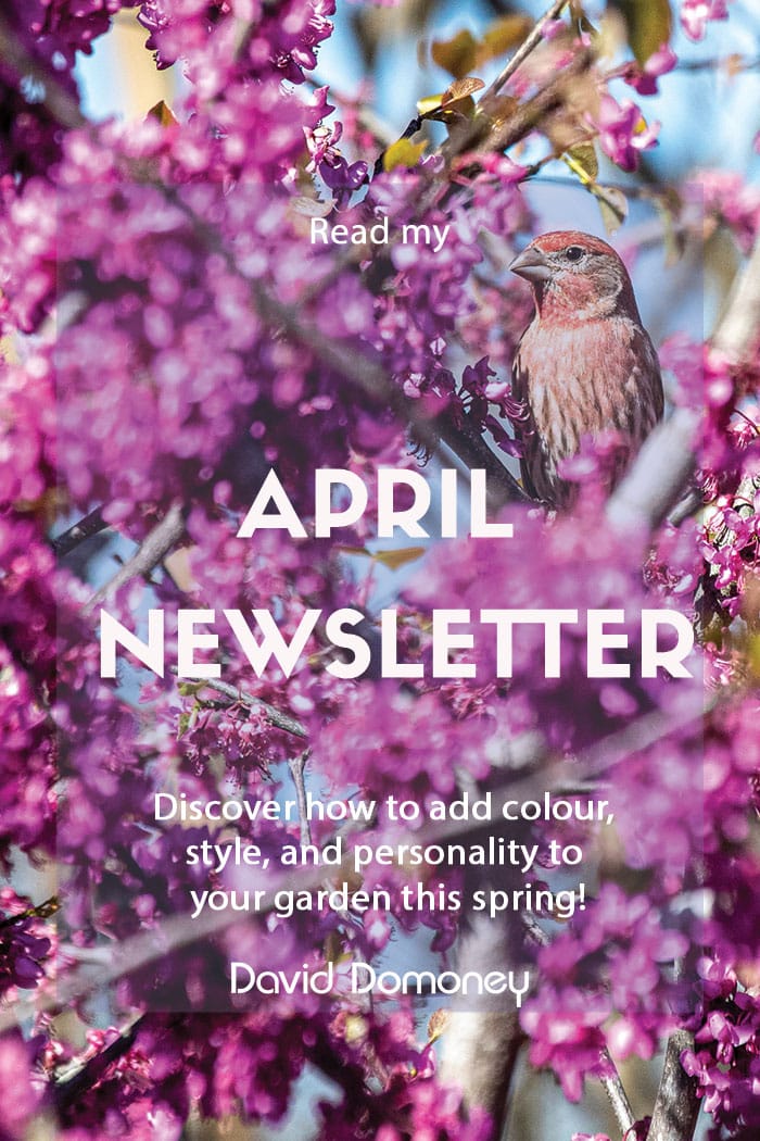 feature image - david domoney's april newsletter