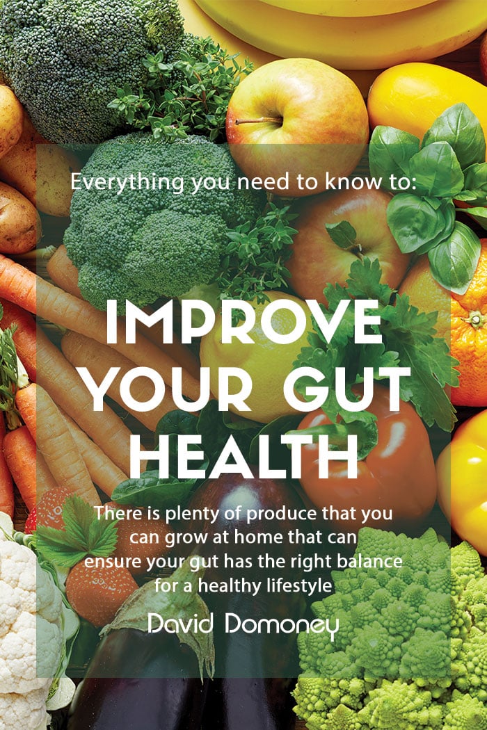 How to Grow Your Own for Better Gut Health