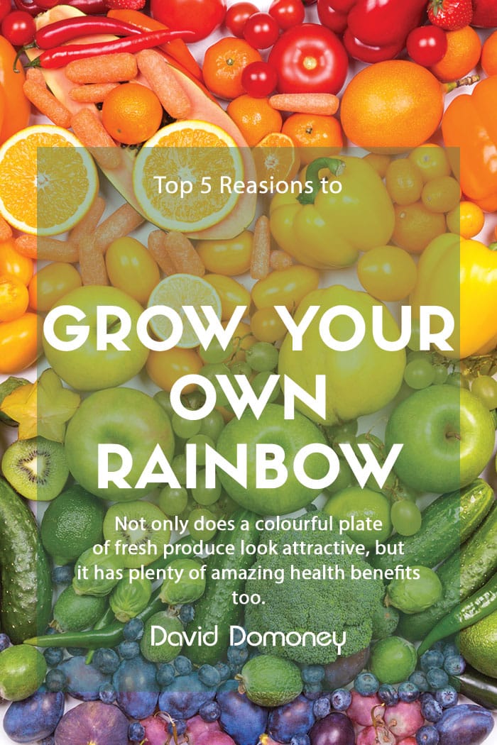 Top 5 reasons to Grow Your Own Rainbow