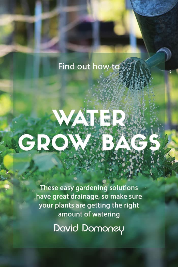 How do you water grow bags?