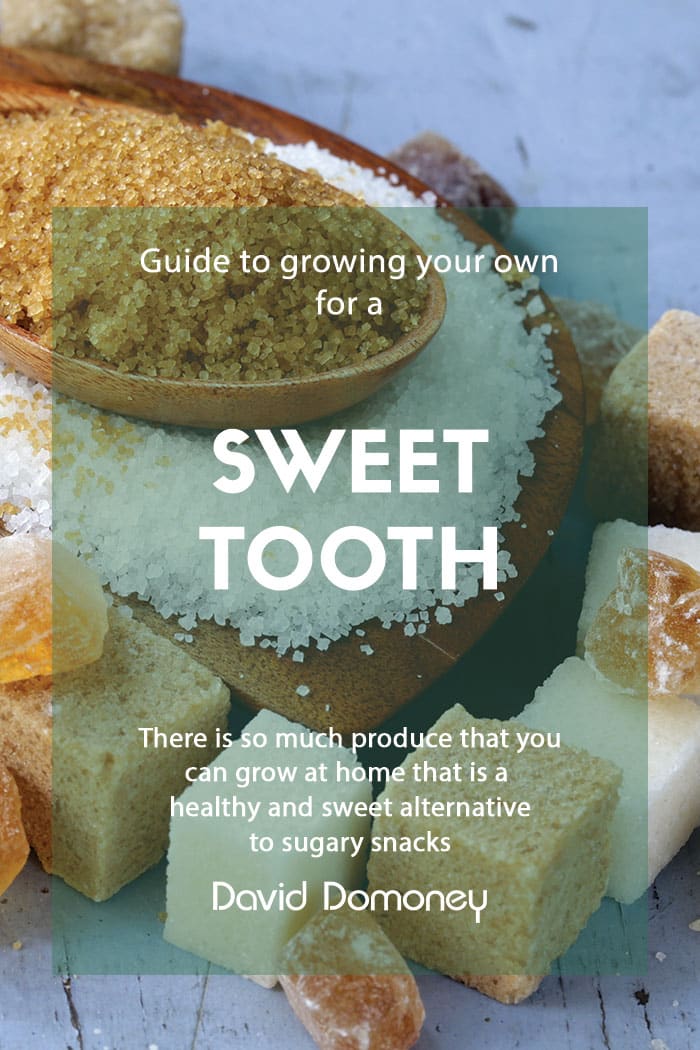 How to grow your own for a sweet tooth