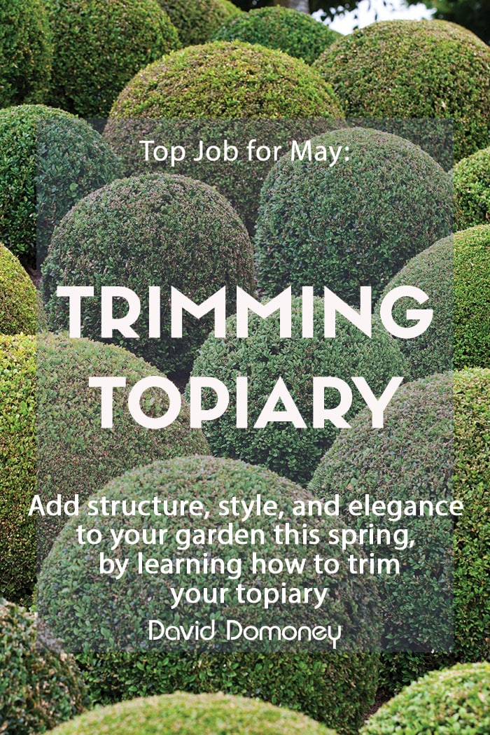 Top Job for May- Trimming Topiary