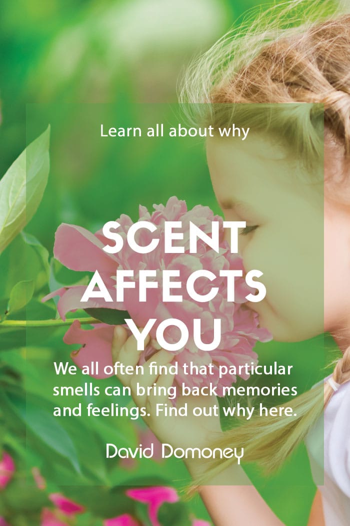 How does scent effect your body?