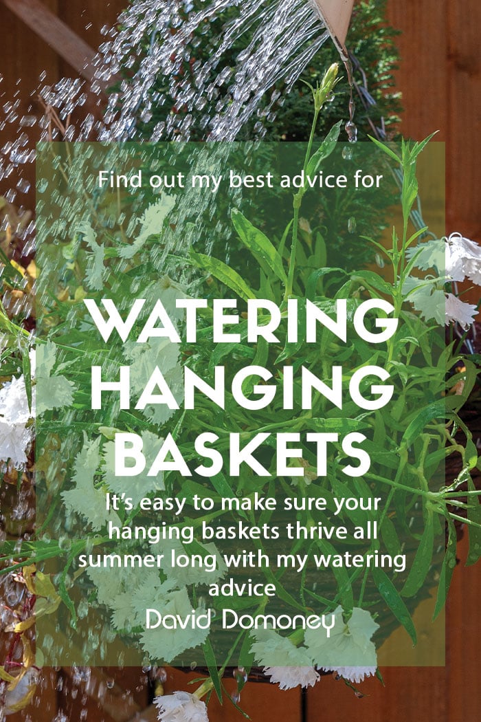 How to water hanging baskets easily