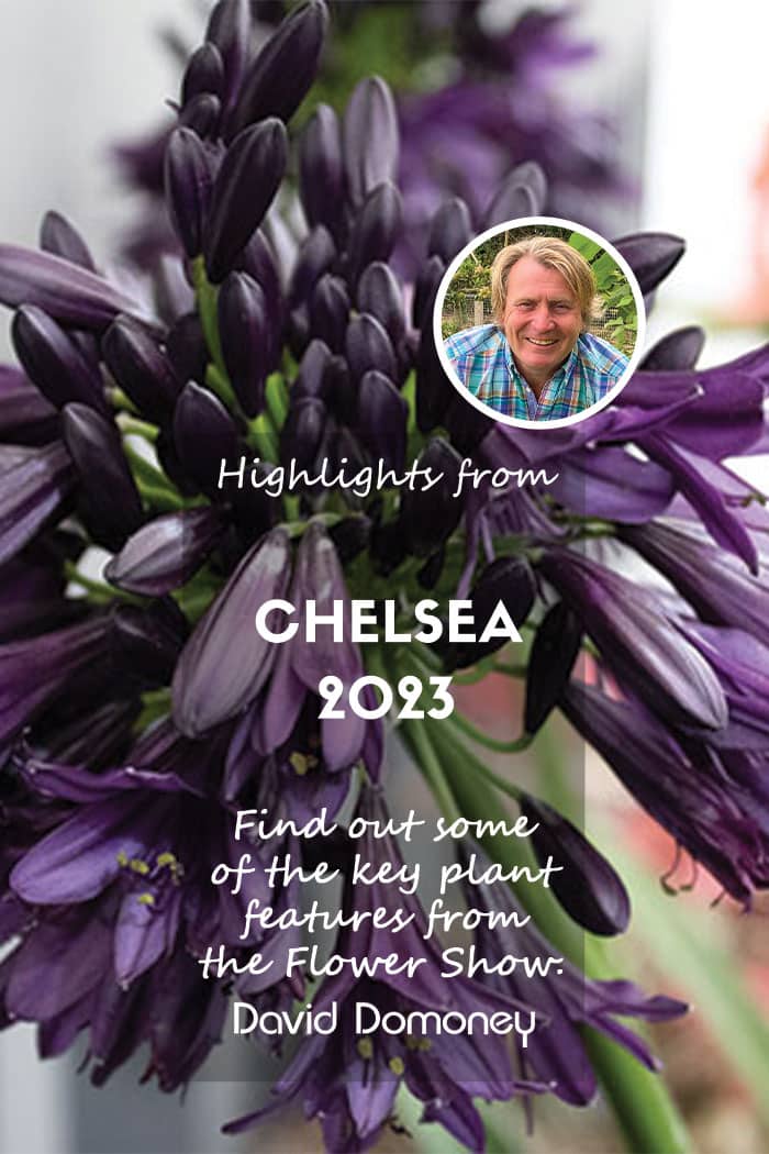 What were the Chelsea Flower Show Highlights in 2023?