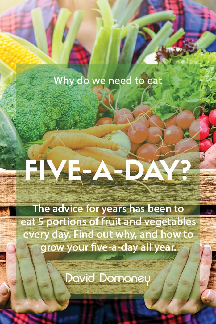 Why do you need to eat ‘five-a-day’?