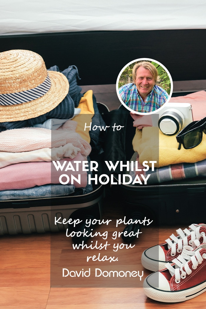 How to Keep Your Plants Watered Whilst You’re on Holiday