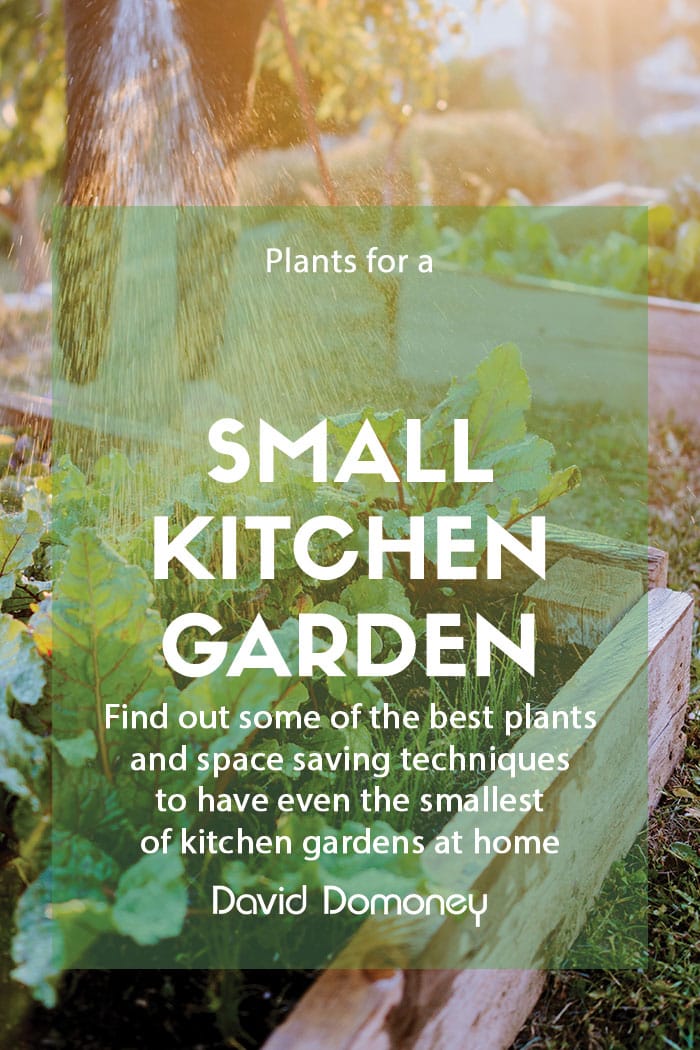 Plants for a Purpose – Plants for a small kitchen garden