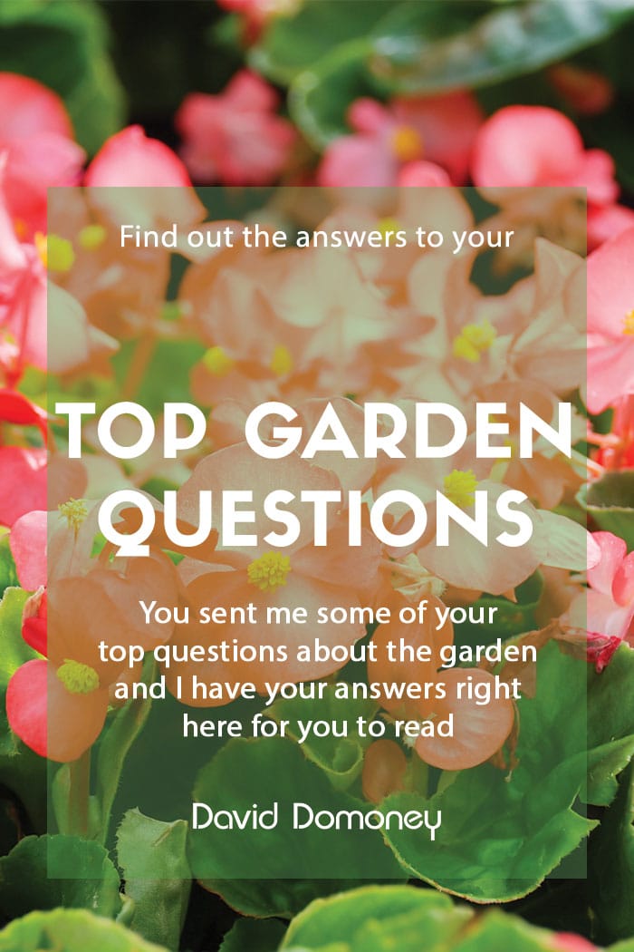 Answering your gardening questions