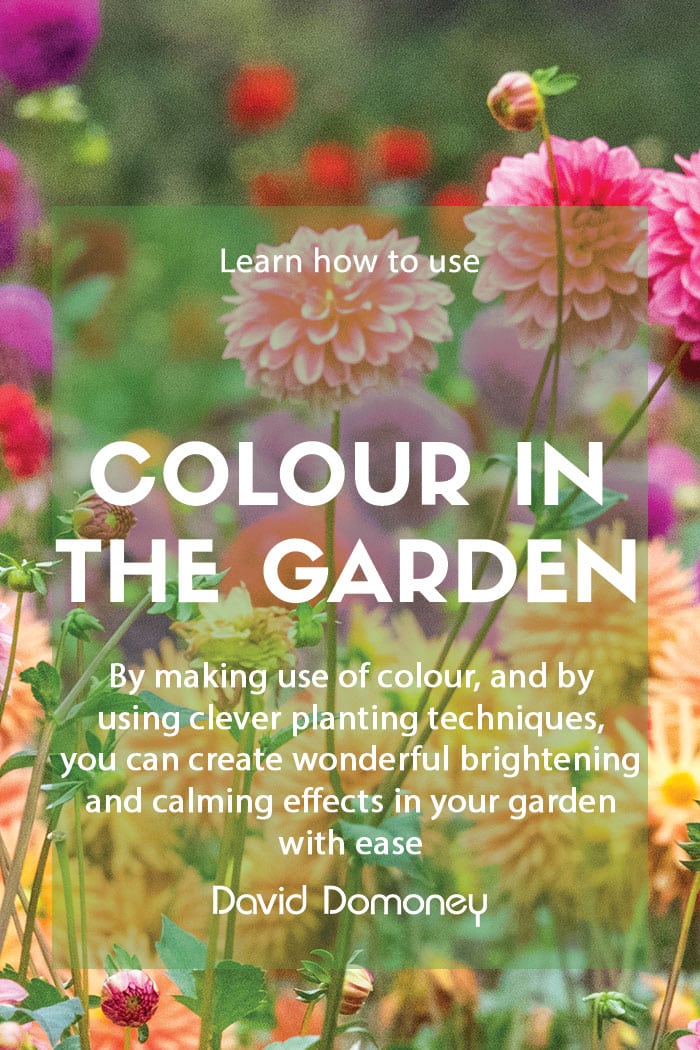 How to use colour in the garden