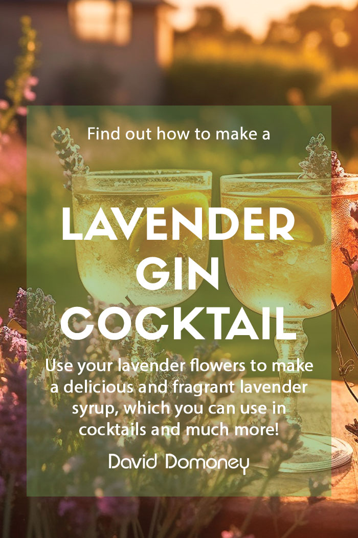 How to make a lavender gin cocktail