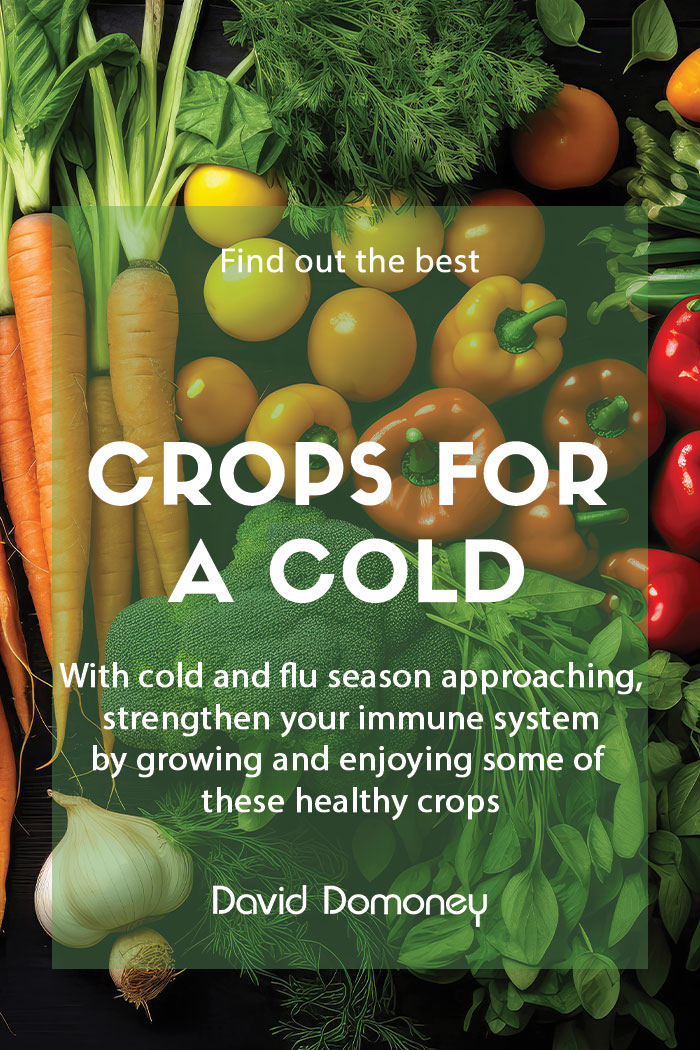 Crops to help you beat a cold