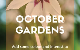 October top ten plants 2023