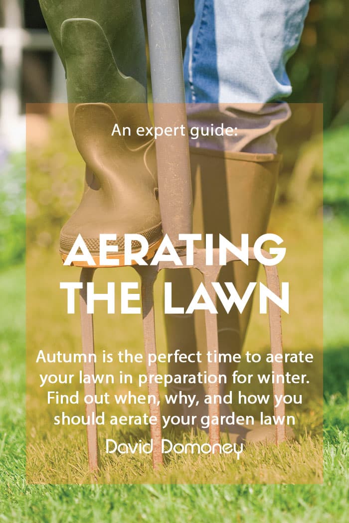 Lawn Aeration: What, when, and how do you do it?