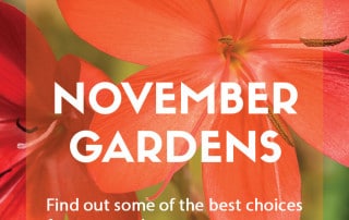 Feature november top ten plants 2023 blog