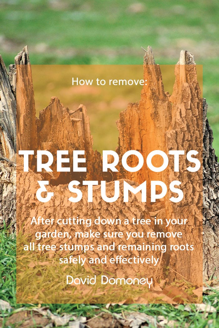 How do I remove tree roots and stumps from the garden?