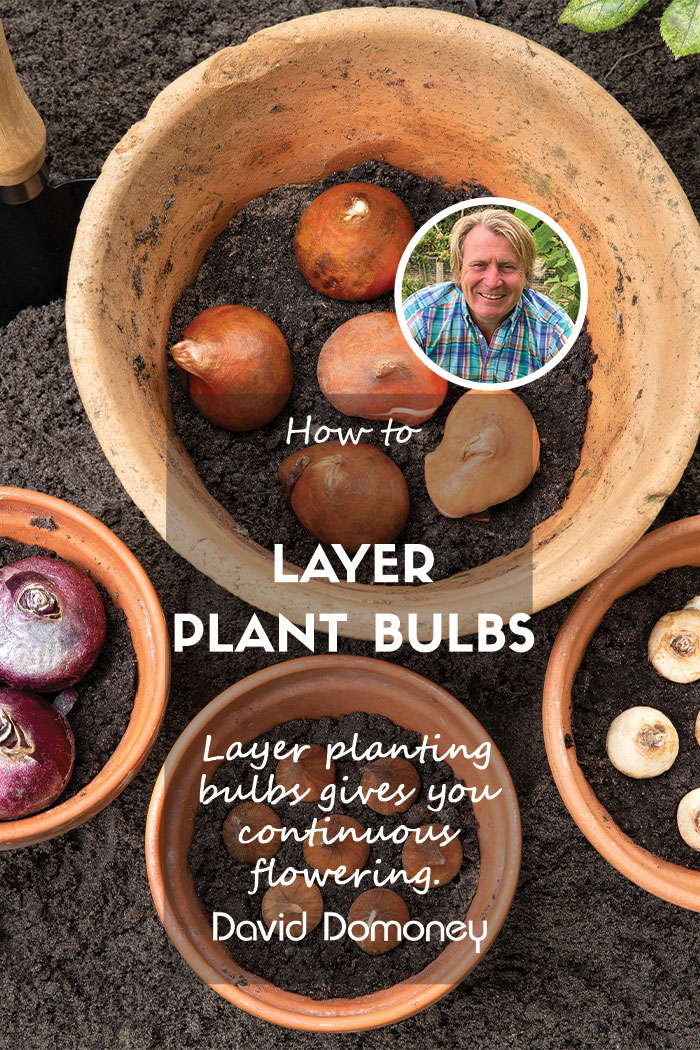 How to layer-plant flower bulbs