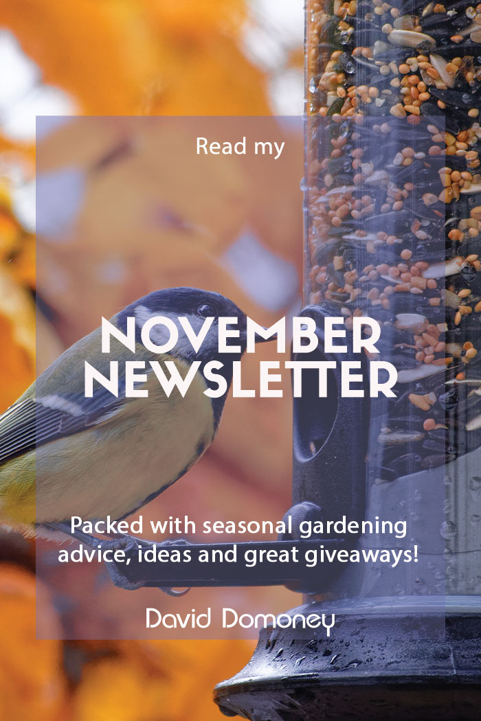 November 23 newsletter blog feature