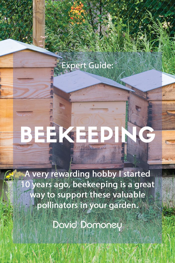 Expert Guide: Beekeeping