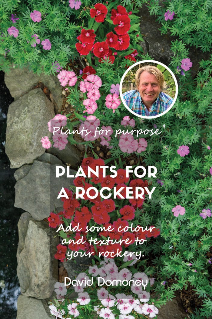 Plants for a Purpose – Plants for a rockery