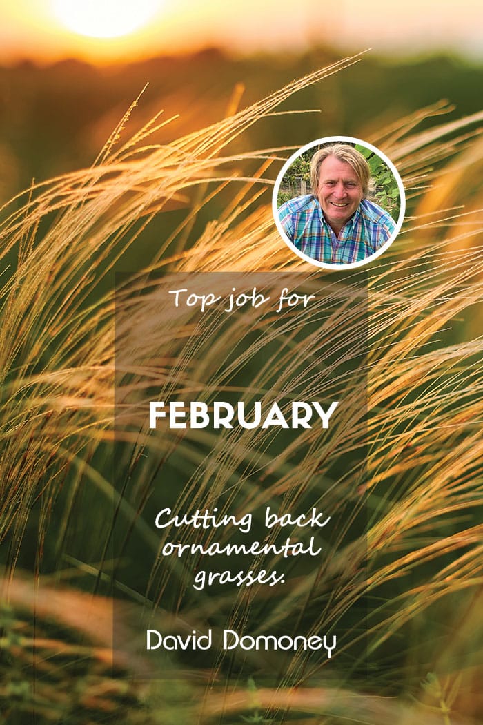 Top job feb 2024 feature