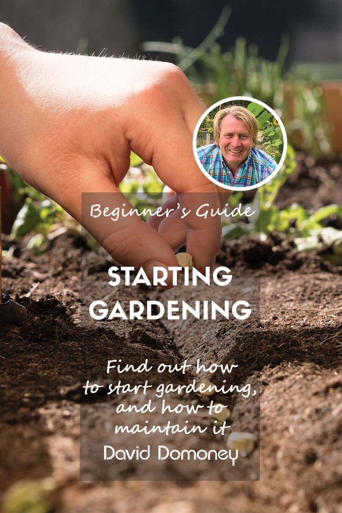 Beginner’s Guide to Gardening