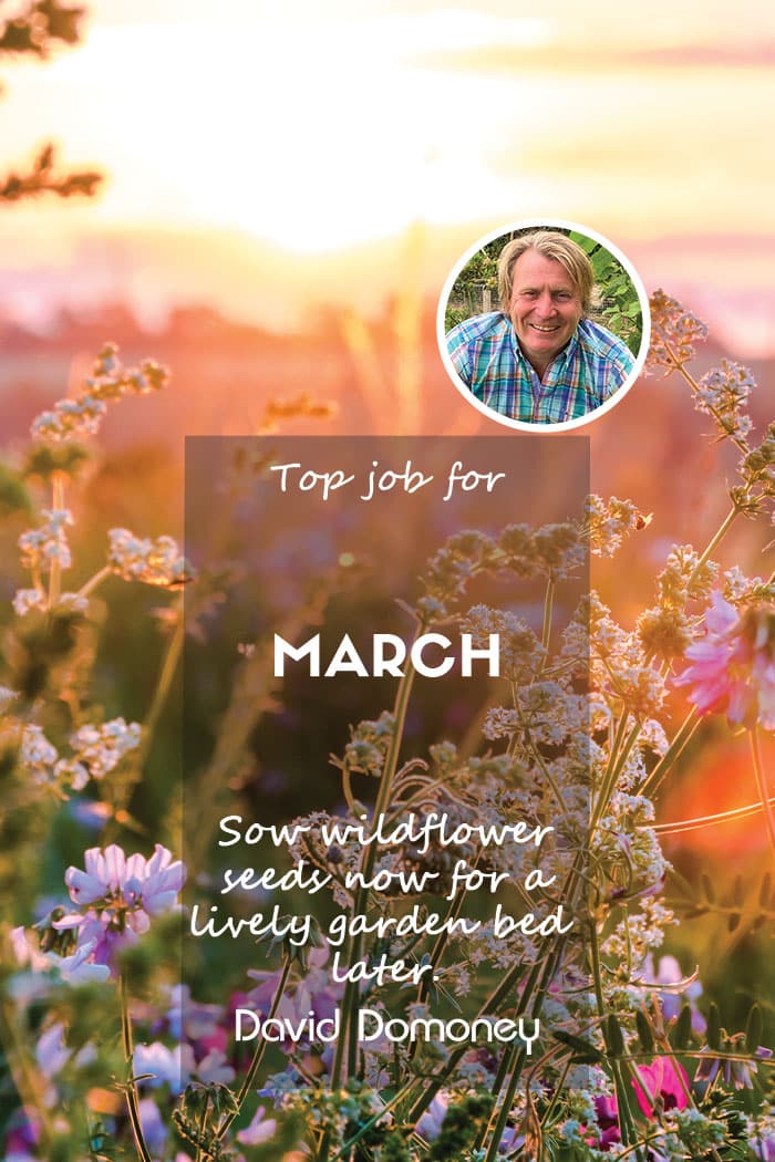 blog feature march 24 top job wildflowers