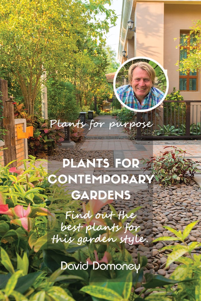 Plants for a Purpose – Plants for a contemporary garden