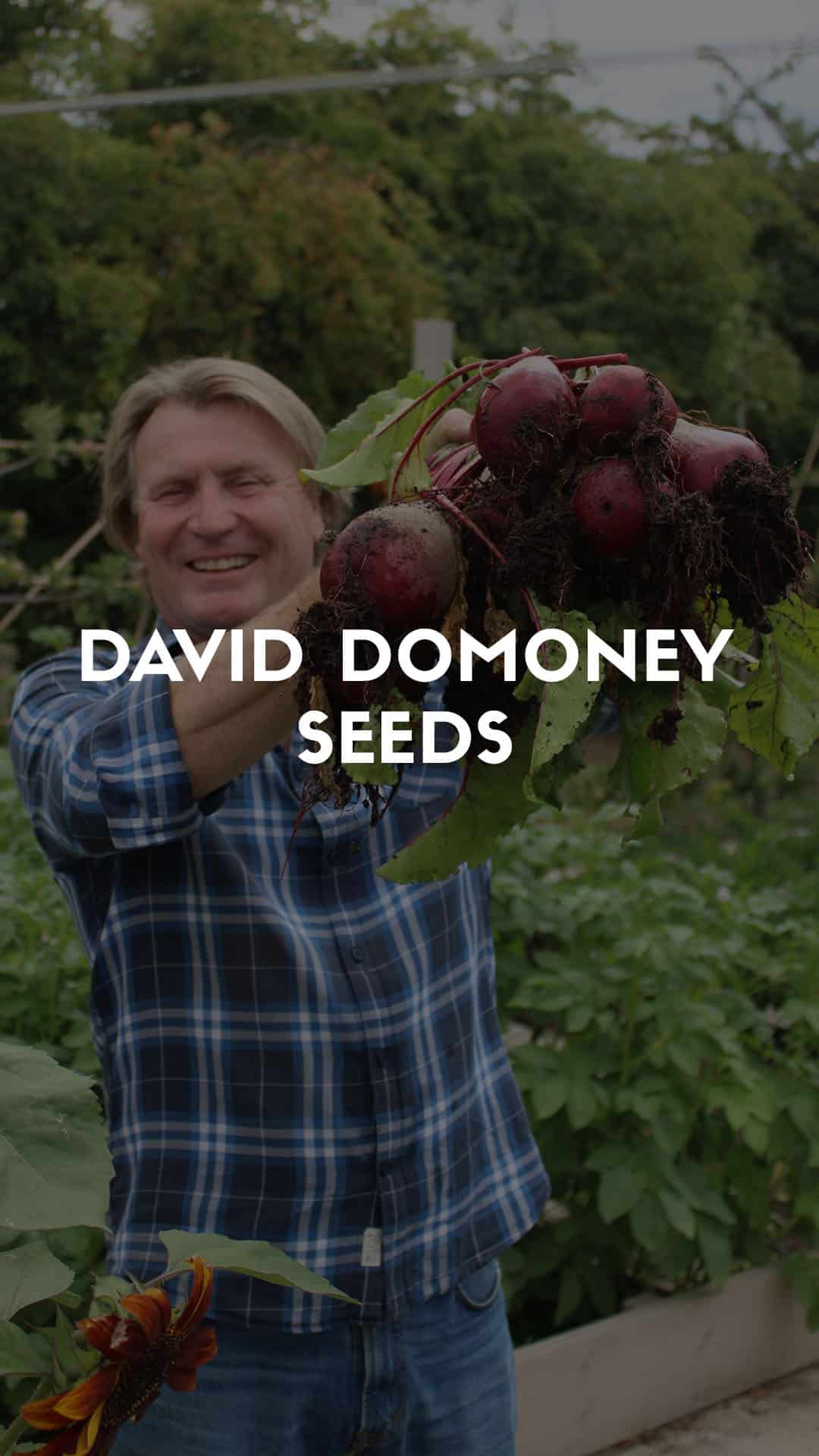 David Domoney Shop – Seeds – David Domoney Veg Seeds