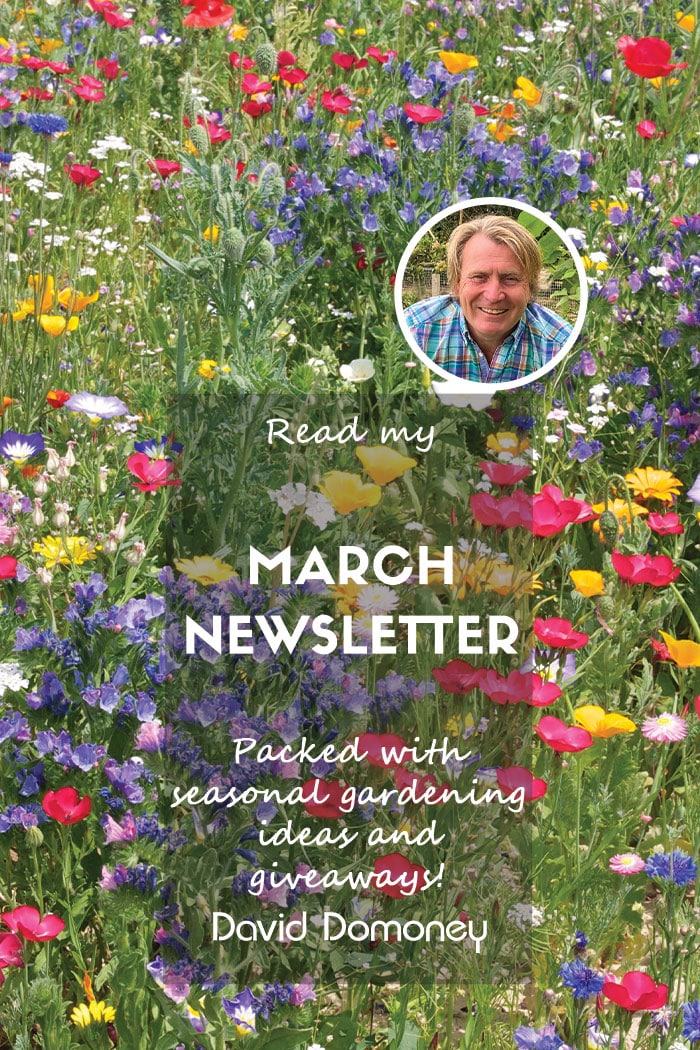 David Domoney’s Newsletter March 2024