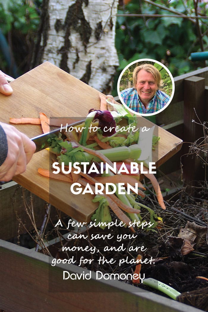 How to create a wildlife-friendly vegetable garden