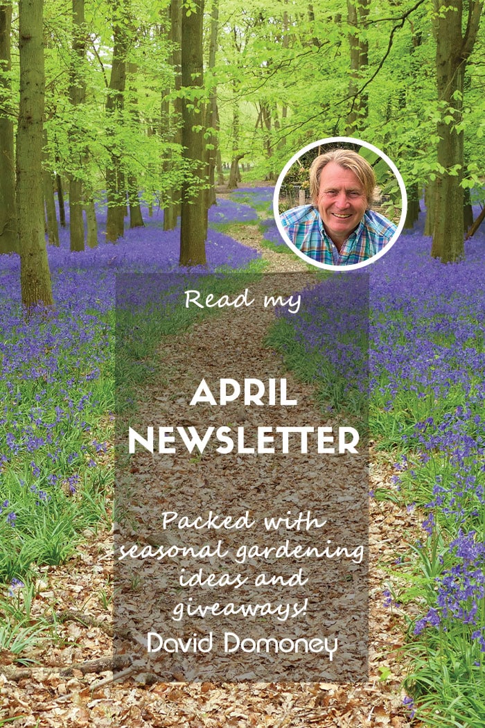 David Domoney’s Newsletter April 2024