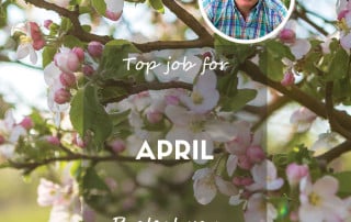 Top Job Blossom April Feature 24