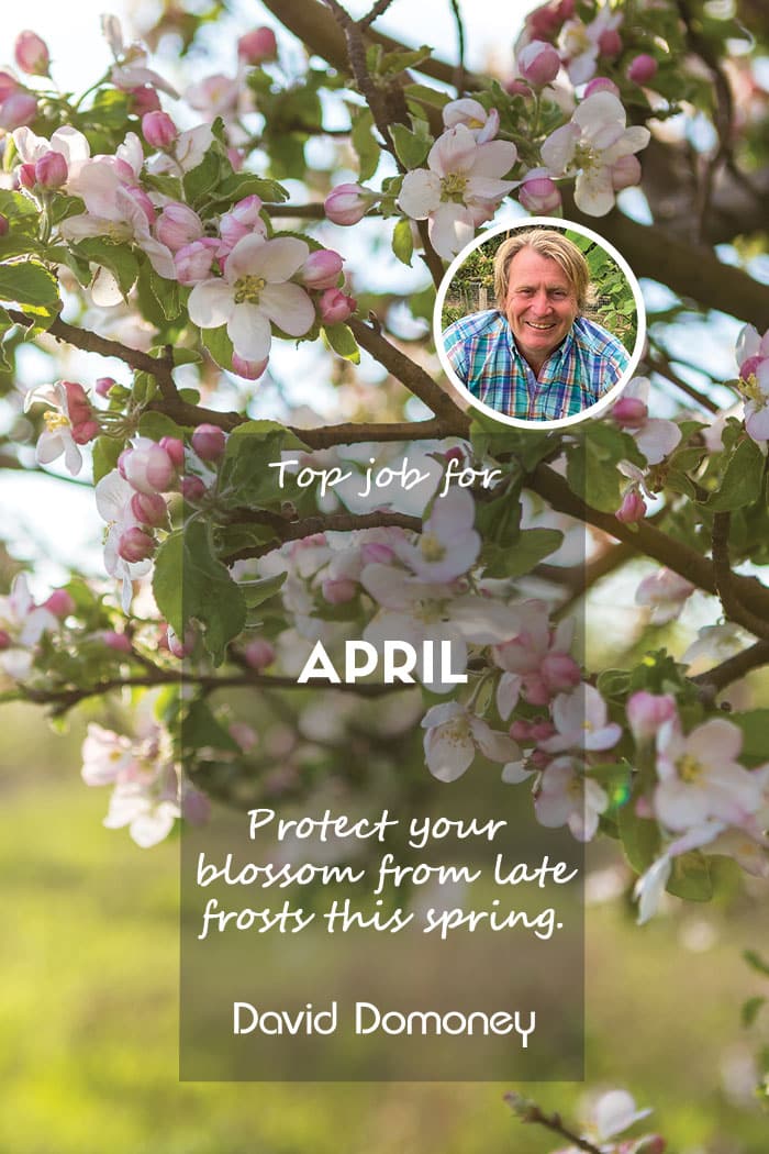 Top Job for April – Protect Blossom from late frost