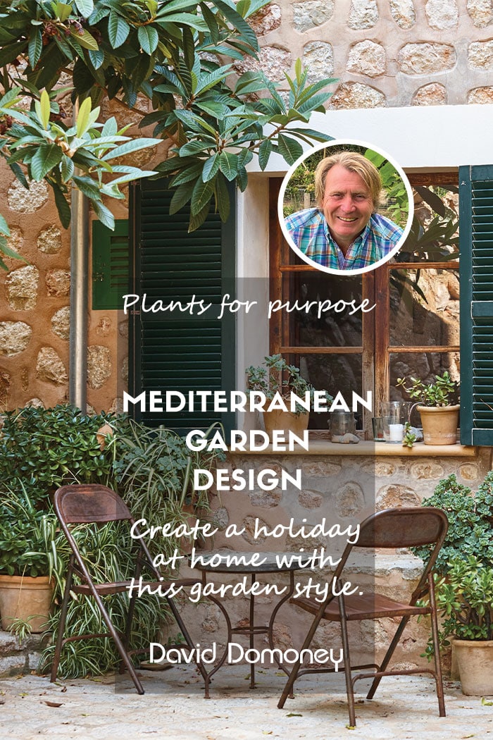 Plants for a Purpose – Best plants for a Mediterranean garden