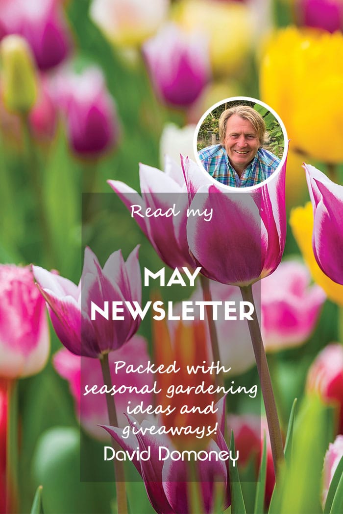 David Domoney’s Newsletter May 2024