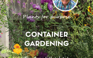 Container gardening feature