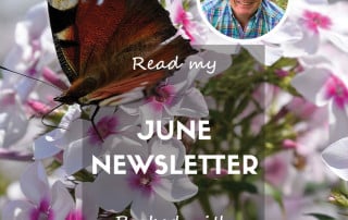 June newsletter feature website