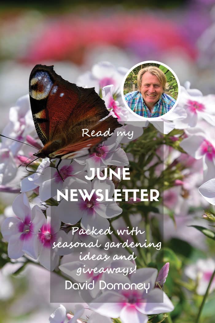 David Domoney’s Newsletter June 2024