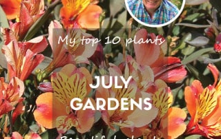 July top ten 2024 feature blog