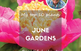 Top ten feature june 2024 blog