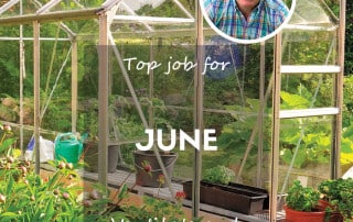 Top job june greenhouse feature