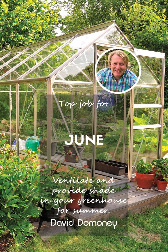 Top Job for June – Ventilate and shade greenhouses for summer