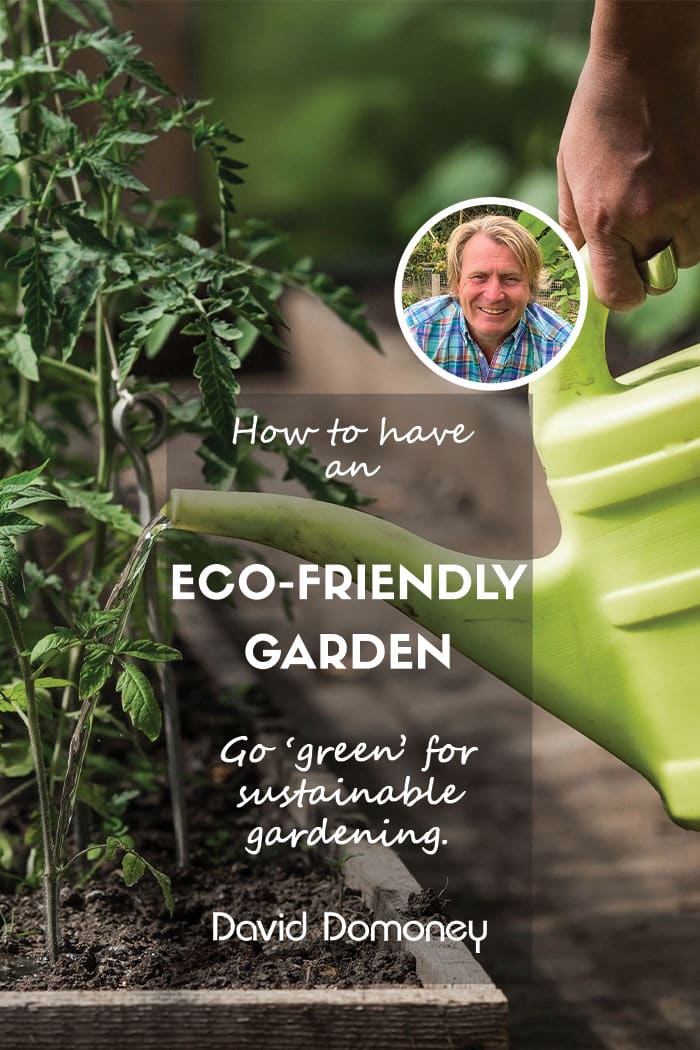 How to make your garden more eco-friendly