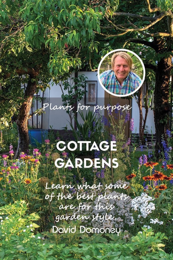 Plants for a Purpose – Plants for a Cottage Garden