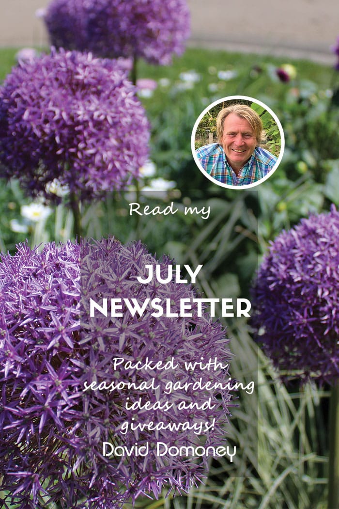 David Domoney’s Newsletter July 2024