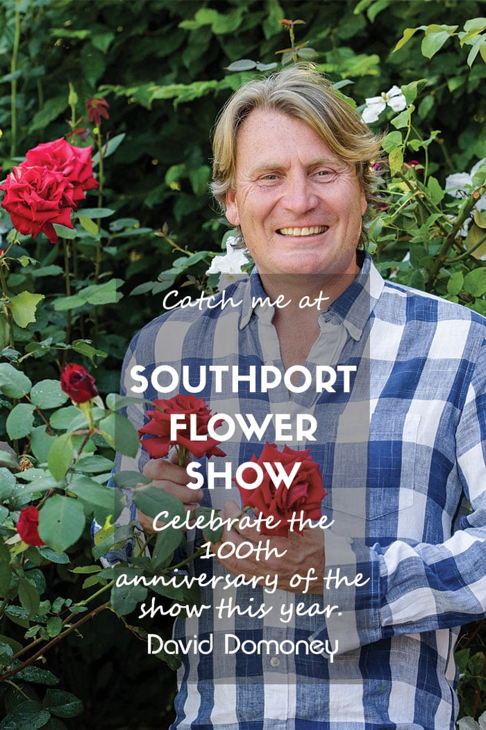 Catch me at Southport Flower Show