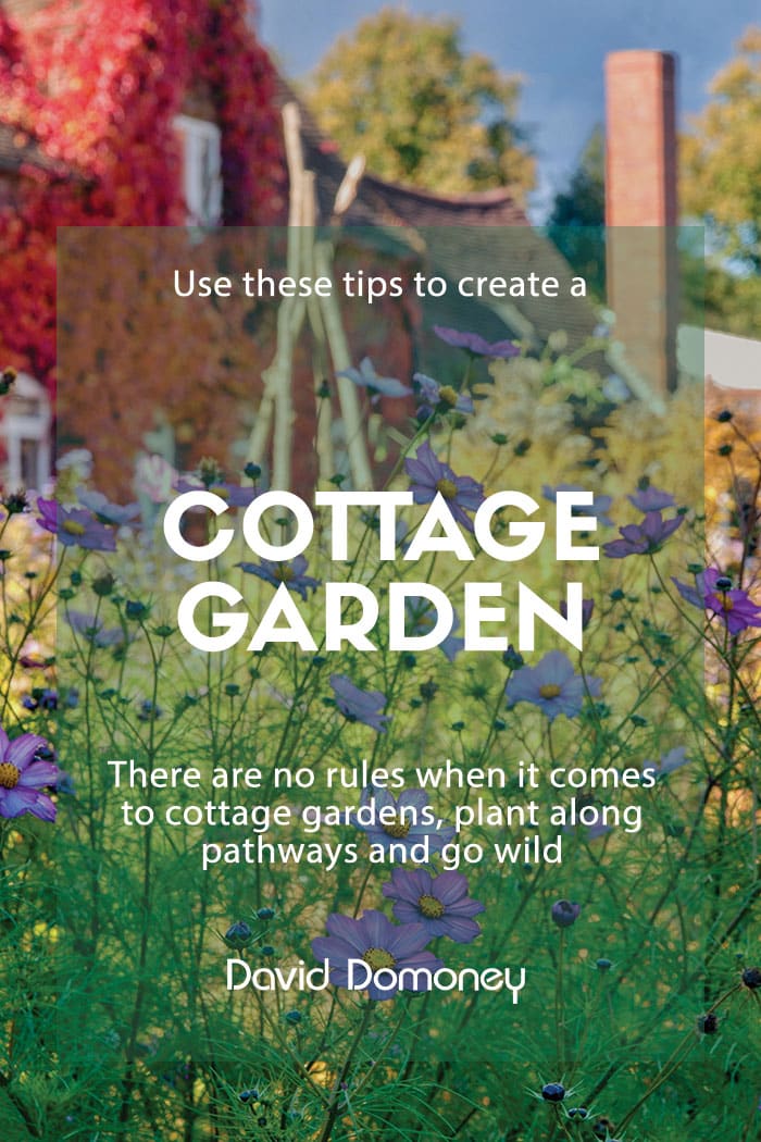 Hints, tips and ideas to create a cottage garden