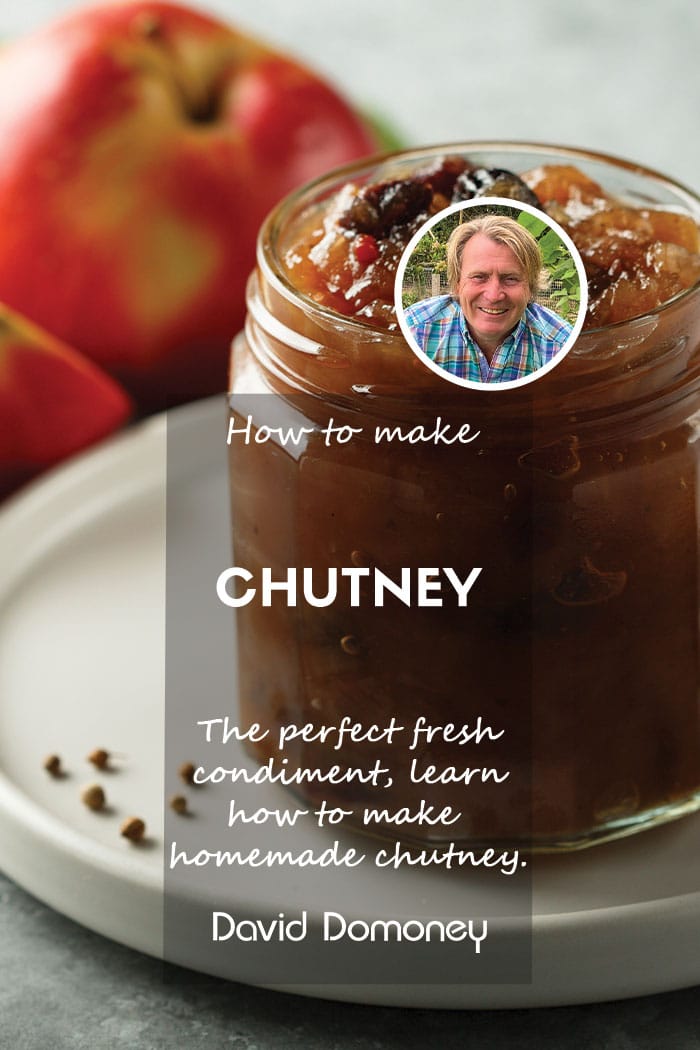 How to make chutney